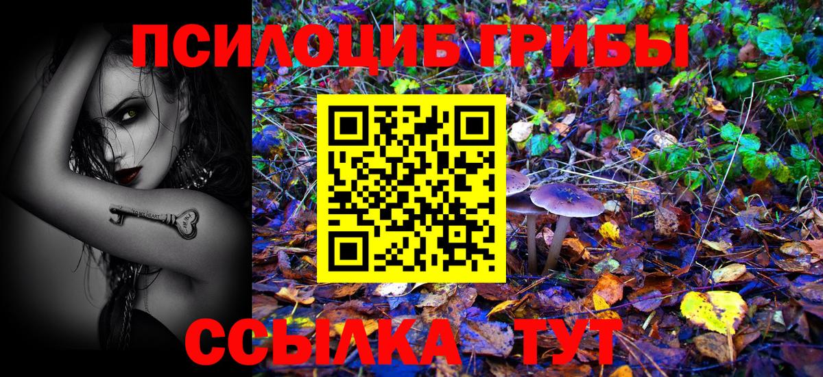 Галлюциногенные грибы Psilocybine cubensis Нижний Новгород